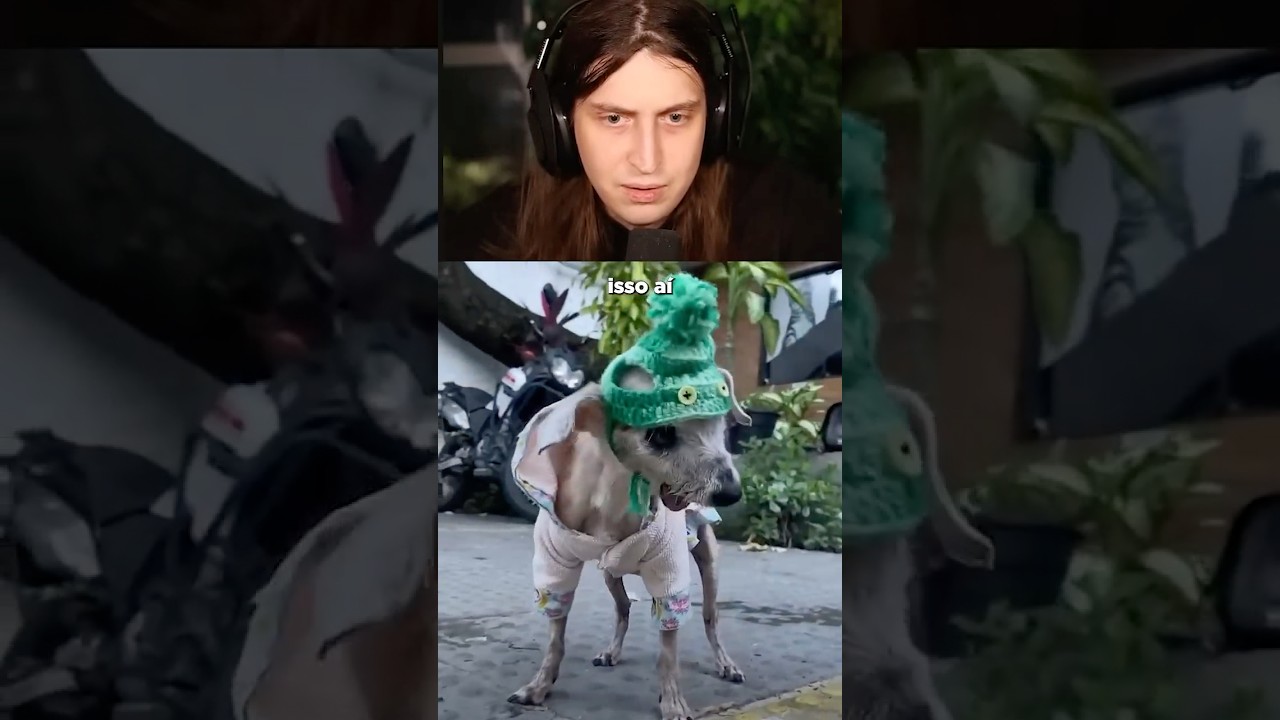 o primeiro fóssil vivo