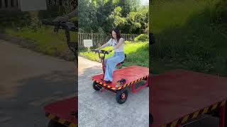ELECTRIC FLATBED TROLLEY 대표 영상 썸네일