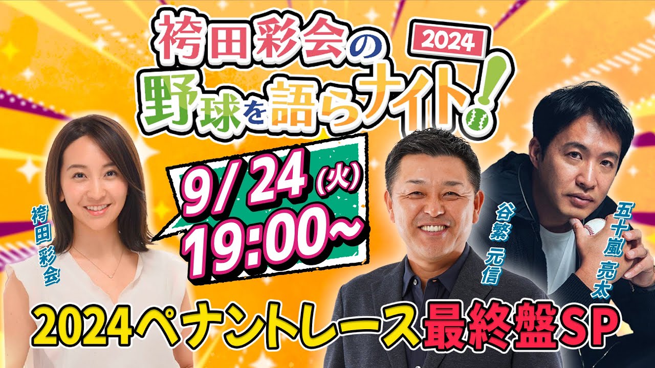 2024 8/12 プロ野球観戦ペアチケット！体験付き！（パンフレット・会社 