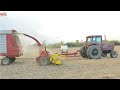 INTERNATIONAL 5088 Tractor Chopping Soybean Straw