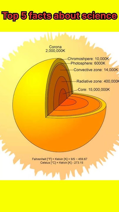 top-5-facts-about-science-shorts-facts-factshorts-factsinhindi