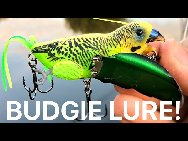 CRAZY TOPWATER LURE! Will it work?! Chasebaits Smuggler Budgie 