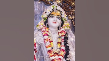 koi jaye jo vrindavan #krishnalove #viral #viralpost #viralpost