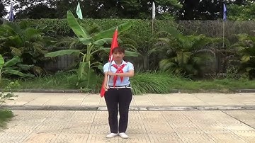Nghi thức Đội TNTP Hồ Chí Minh: Động tác Vác cờ