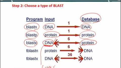 Topic 64 (BIF401 - Bioinformatics I)