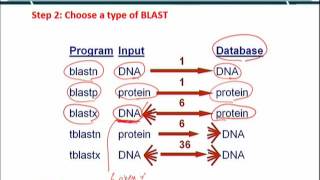 Topic 64 (BIF401 - Bioinformatics I)