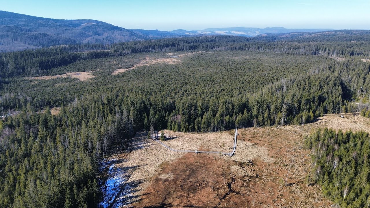 Wieża widokowa Suszynka + Torfowisko pod Zieleńcem