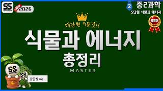 screenshot of the youtube video