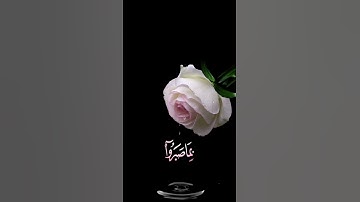 صباح الخير💖 اجمل حالات واتس اب مقاطع قصيره💖 قران كريم سورة المؤمنون💖 عبد الباسط عبد الصمد💖بدون حقوق