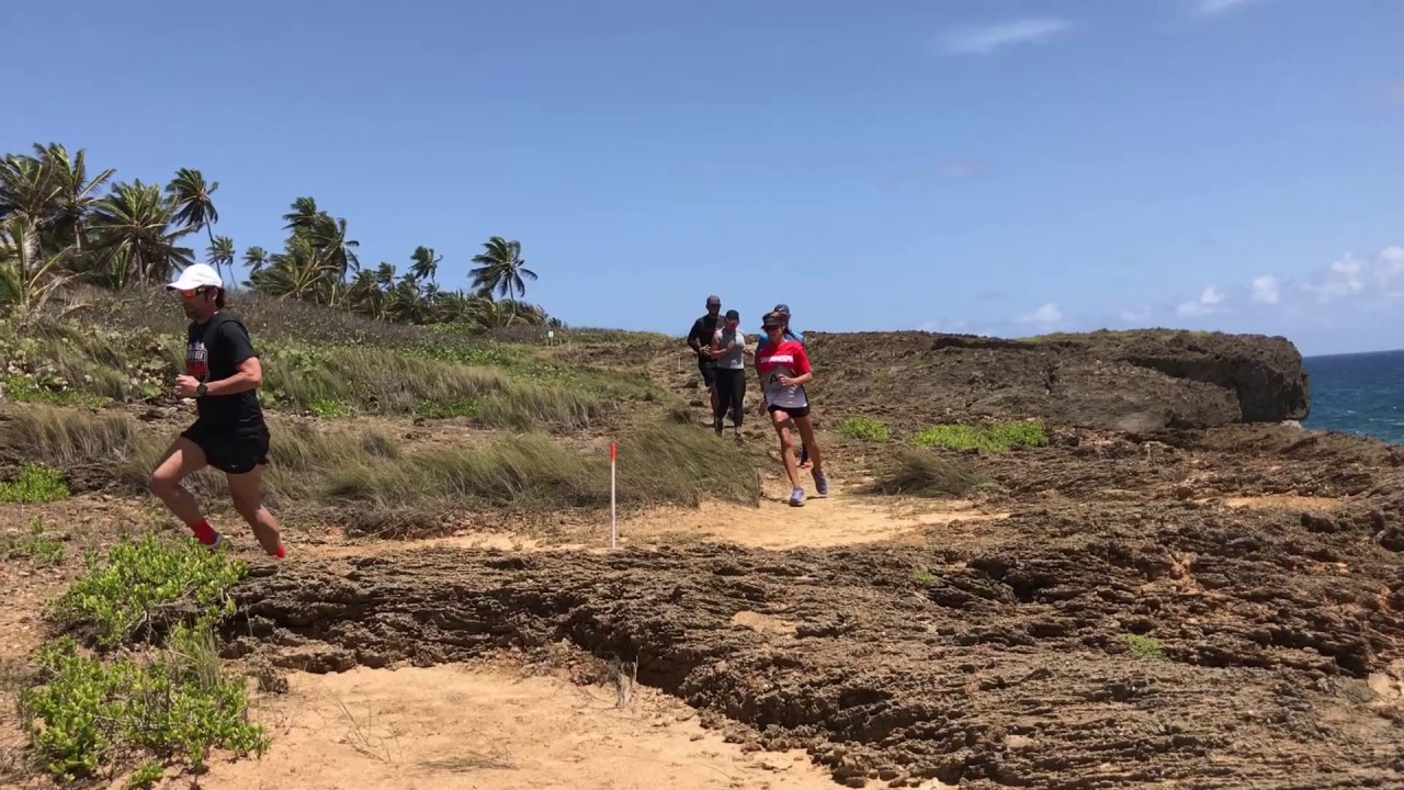 Trail Running Puerto Rico YouTube