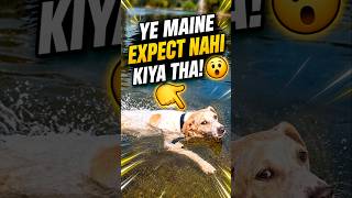 Nadi Pahunchte Hi Kulfi Ne Hairan Kar Diya! 😲🐶 #minivlog #shorts #doglover #dog #pets #animals