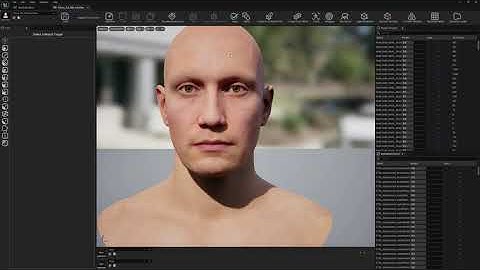 Export Meta Human DNA to OBJ from UE5 with Mesh Morpher