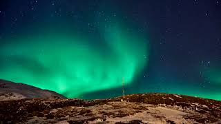 Viaje por Senja y Tromsø con la aurora boreal