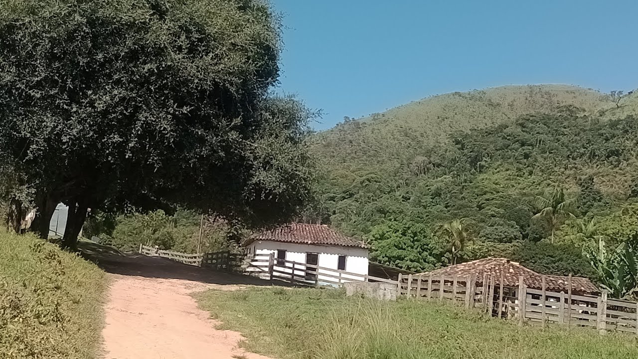Camping do Tio Zezico 