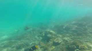 Snorkeling near Islas Secas, Panama