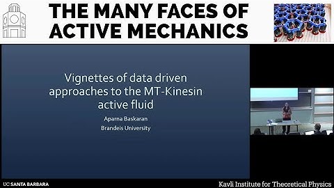 Vignettes of data driven approaches to the MT-Kinesin active fluid ▸ Aparna Baskaran (Brandeis Univ)