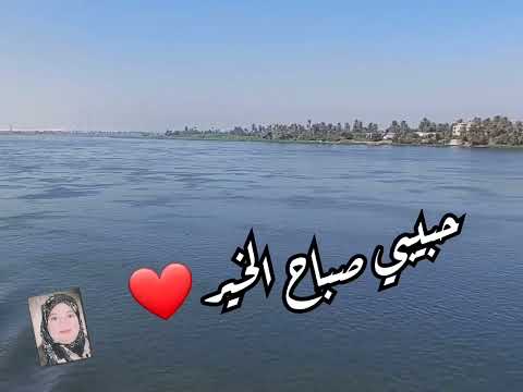 حبيبي صباح الخير صباحك ورد وفل ولوز ماجد المهندس