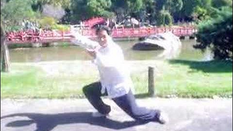 Chen Shi Tai Chi Part 1