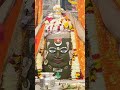 🌹श्री महाकालेश्वरका आरती🌹#shorts #shortsfeed #mahadev #ujjain #viral #viralvideo #mahakal #shiv