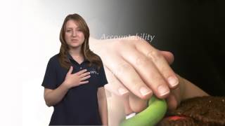 Bcc312 1Bis Melissa 2012