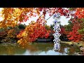 TOKYO【Autumn colors】Showa Kinen Park 2019.昭和記念公園 #4K