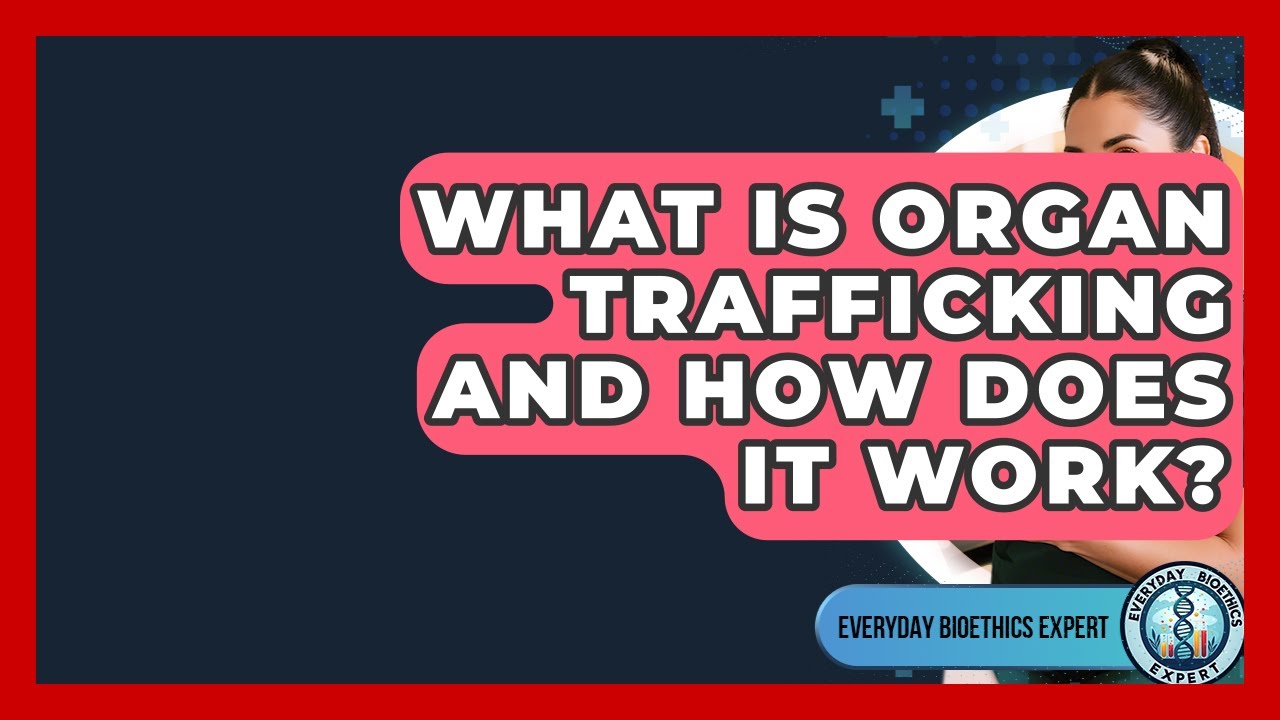 What Is Organ Trafficking And How Does It Work? - Everyday Bioethics Expert