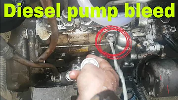 Diesel pump bleed