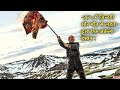 Solo Climber Struggle To SURVIVE After His Team Plane Crashed In ARCTIC | Explained In Hindi