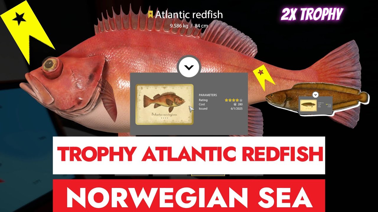 RUSSIAN FISHING 4 - RF4 - TROPHY ATLANTIC REDFISH - NORWEGIAN SEA