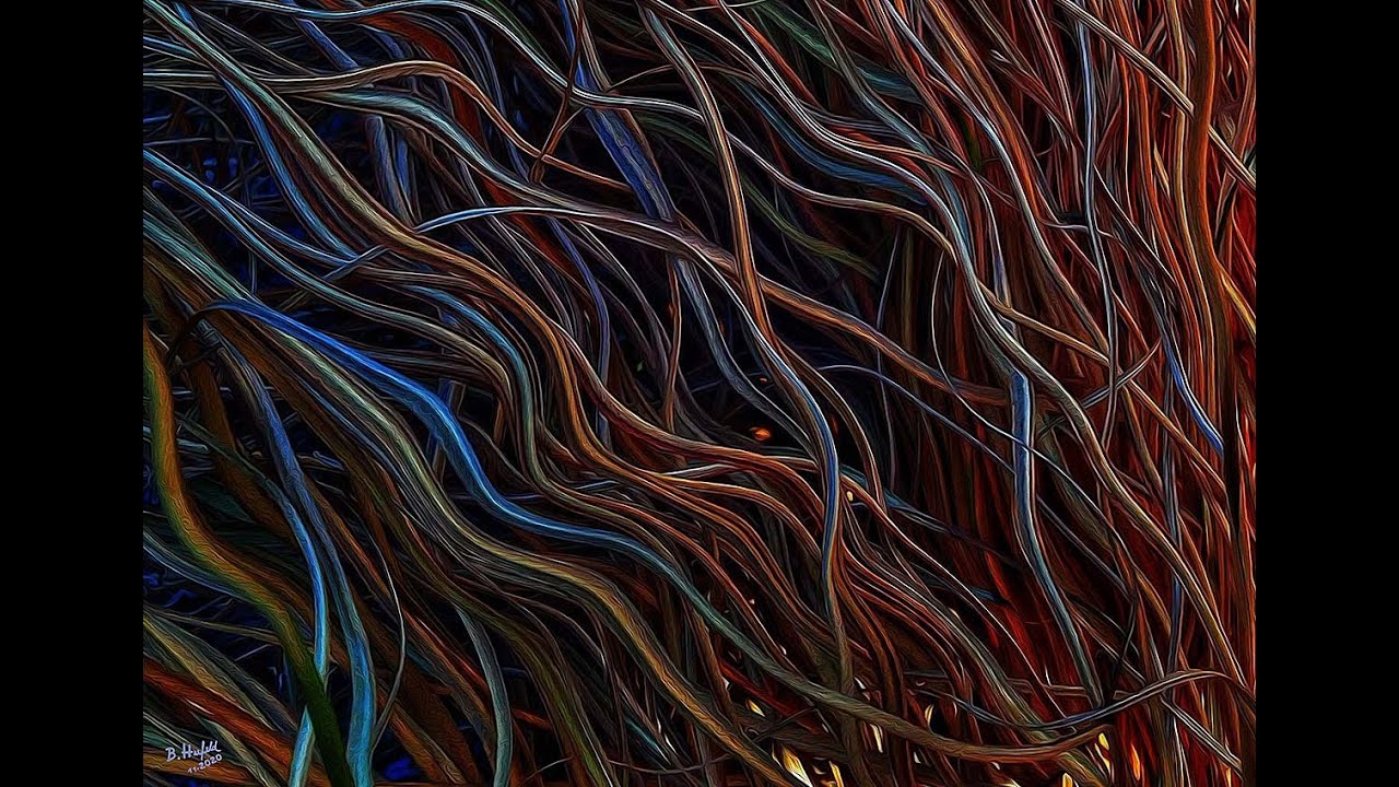 Lively / Digital Painting - Video Art