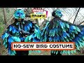 Halloween Bird Costume