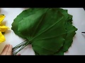 МК Красивые листья для ростовых подсолнухов