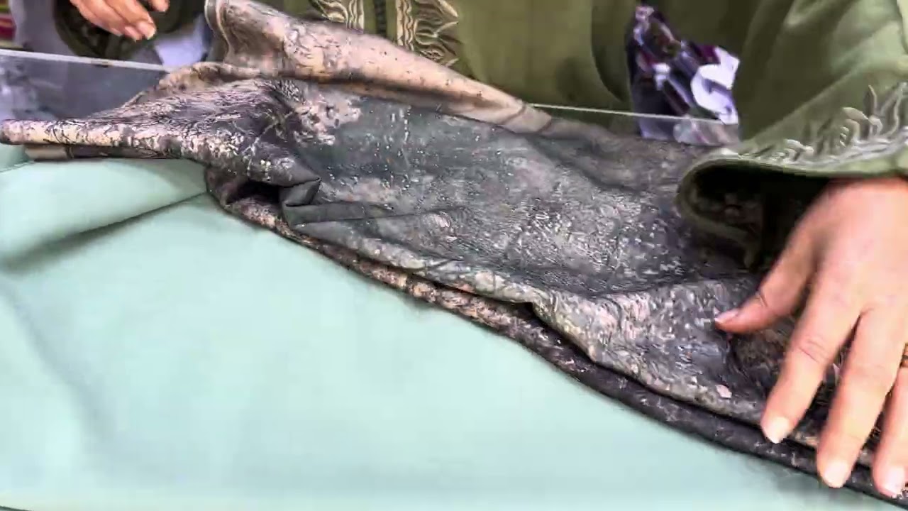 دخلوا تشوفوا ⛔️ جديد 💣 جلابة دوبياس لي كيقلب عليها كولشي 