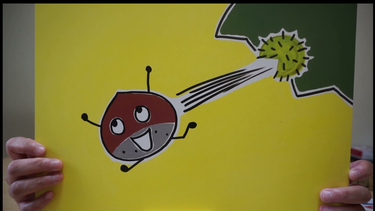 園の行事を教えてください。|橋本りんごこども園