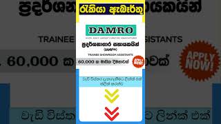 Trainee Sales Assistant | Trainee Showroom Assistants Damro