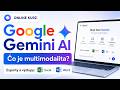 Online kurz Google Gemini AI - Čo je Multimodalita? Ako na Exporty a Výstupy Microsoft Excel a Word?