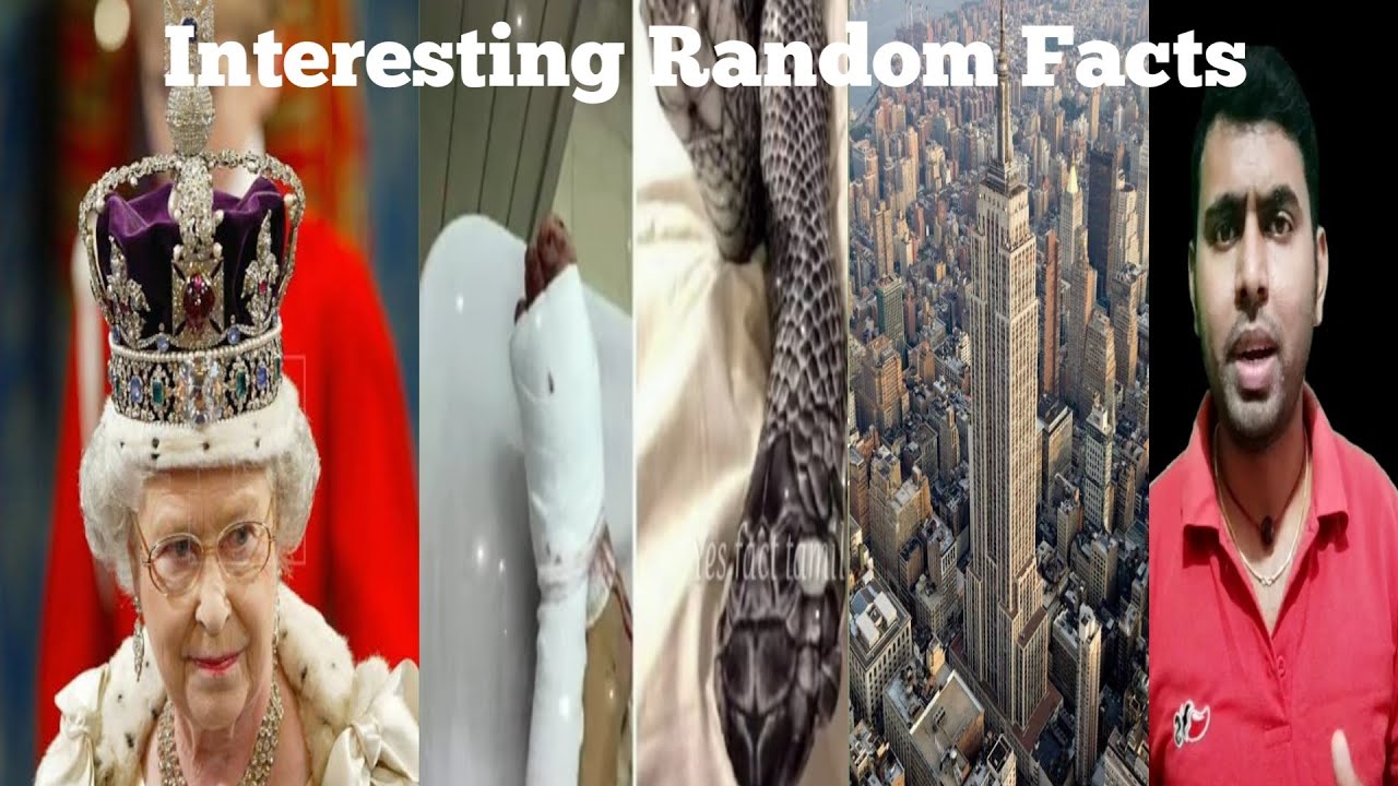 Interesting Random Facts