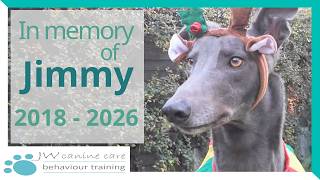 Remembering Jimmy