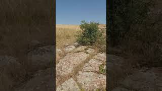 Erdağı yaylası #Hozanaydın Qaze