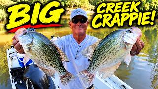 Simple Way to Find BIG Crappie in Creeks!