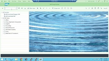 SAP R/3 SECURITY BASICS