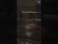 lasers cantinge machine cnc design capcat