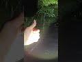 【心霊】樹海ライブ配信!恐怖をホラー生放送で感じてください…