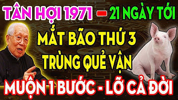 ĐỪNG LƠ LÀ: Tân Hợi 1971 Sắp Có 3 Cơ Hội Chắc Chắn Thay Đổi Cả Cuộc Đời - Muộn 1 Bước Lỡ Cả 1 Đời