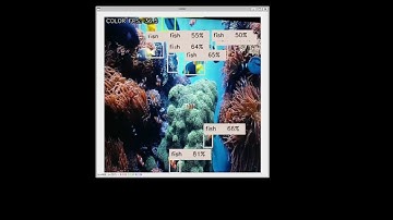 PoC object tracking, yolov5-tiny on Oak-D