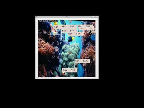 PoC object tracking, yolov5-tiny on Oak-D