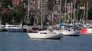 6/29-31 Waratah Street Rushcutters Bay 2011 NSW