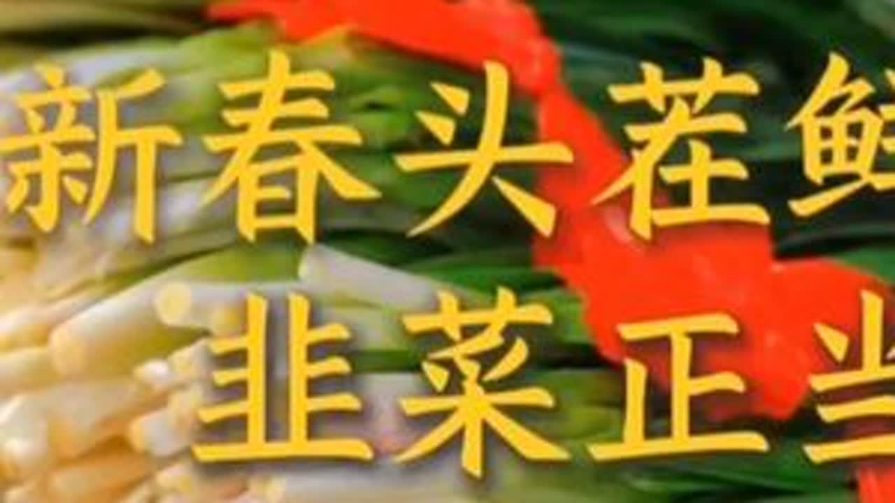 寻味沙洲：新春头茬鲜 韭菜正当时 #潮州 #韭菜 #潮州美食
