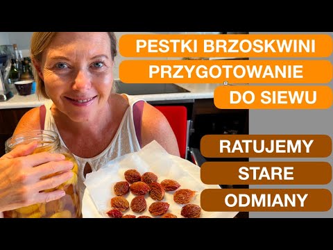 Wideo: Jak wyhodować drzewo hikory Pignut