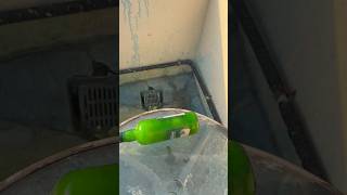 Water color bottle rolling on glass table #asmr #crushingtime #satisfying